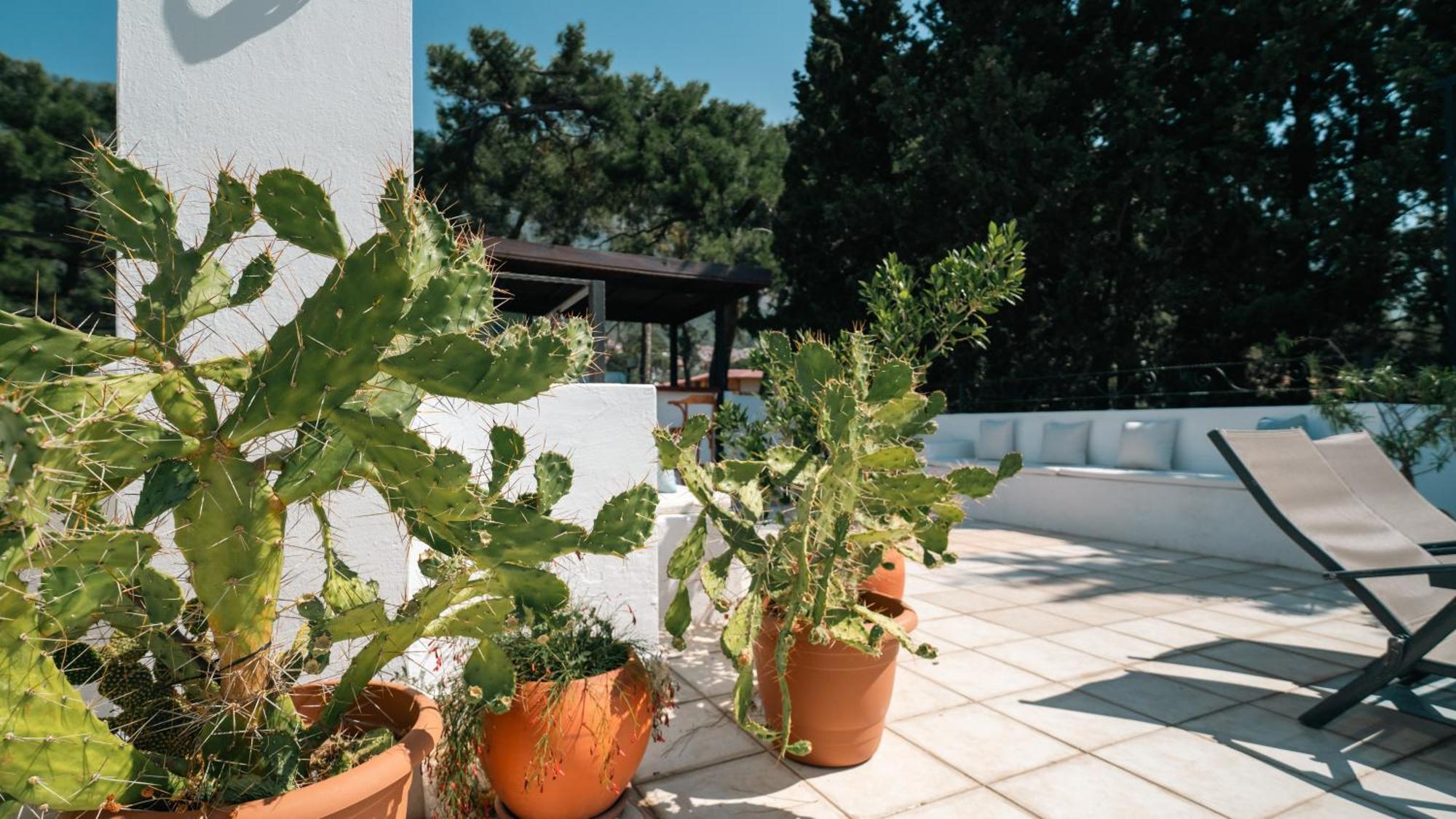 Totelya Hotel Akyaka  Esterno foto