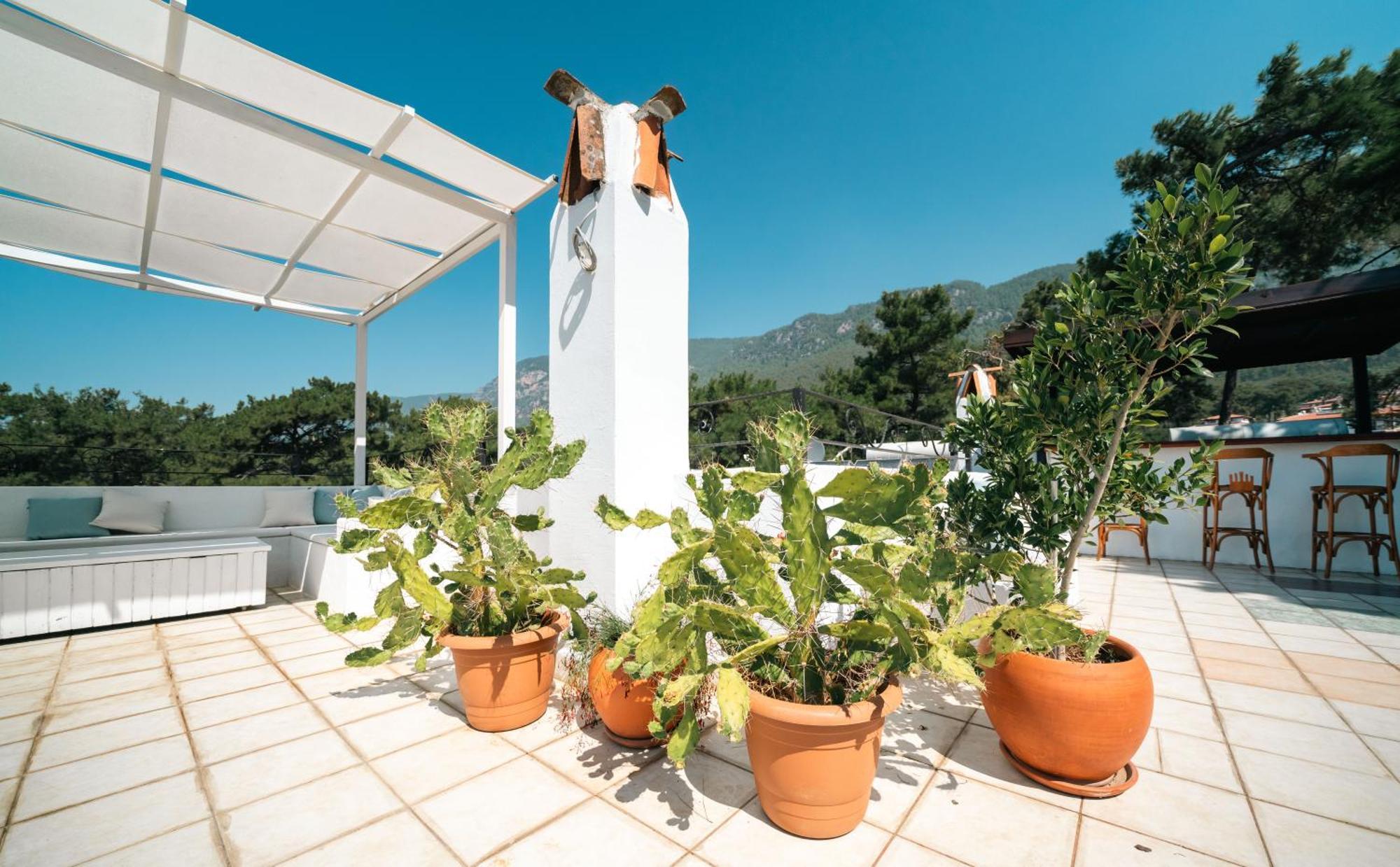 Totelya Hotel Akyaka  Esterno foto