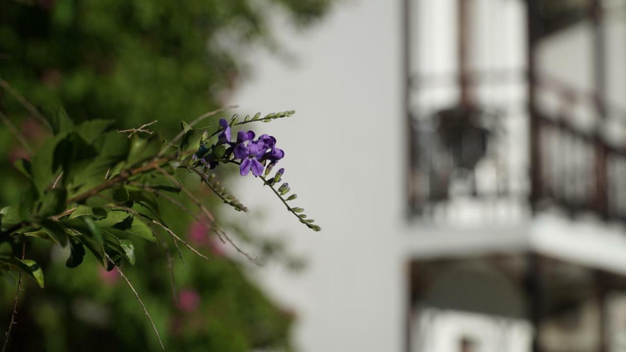 Totelya Hotel Akyaka  Esterno foto