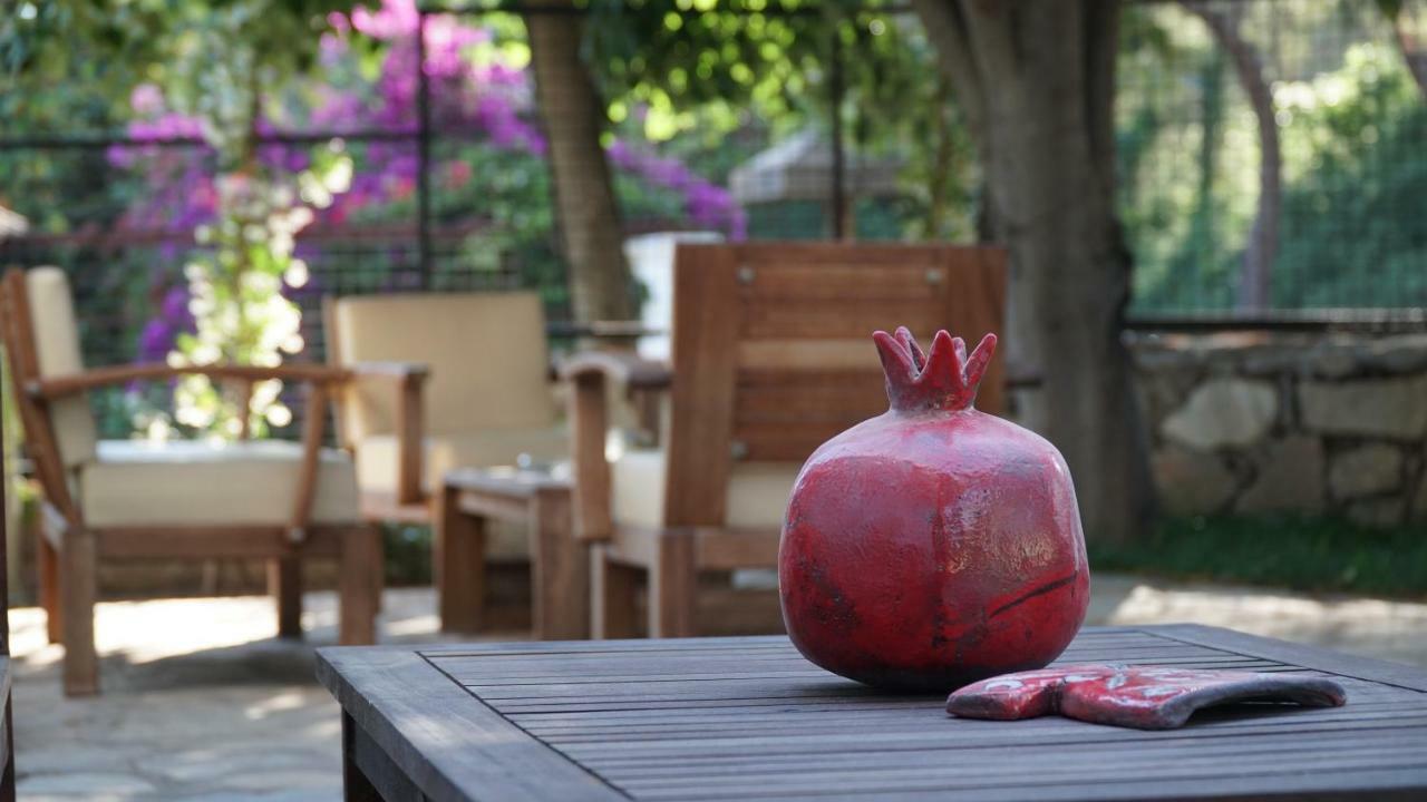 Totelya Hotel Akyaka  Esterno foto